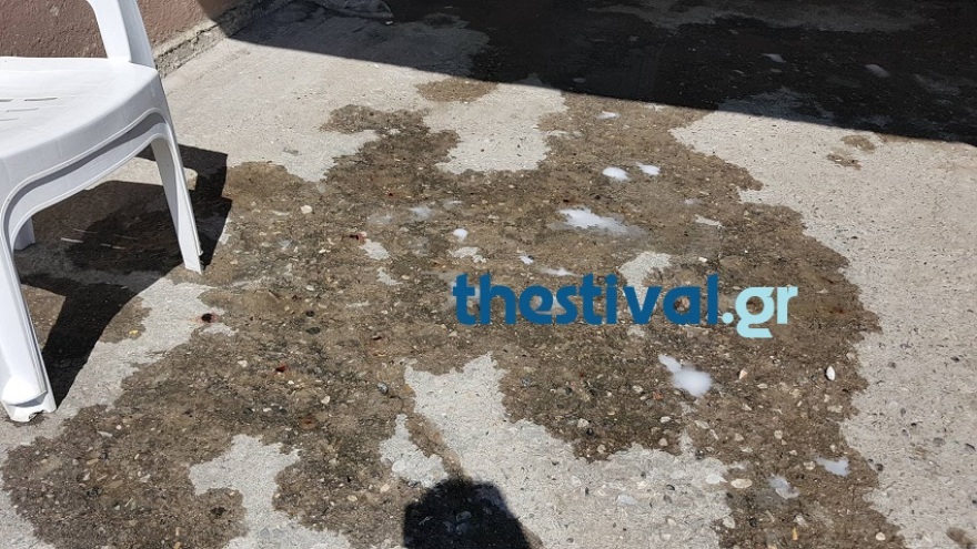 Φονικό στα Γιαννιτσά: Εννέα φορές πυροβόλησε ο 37χρονος