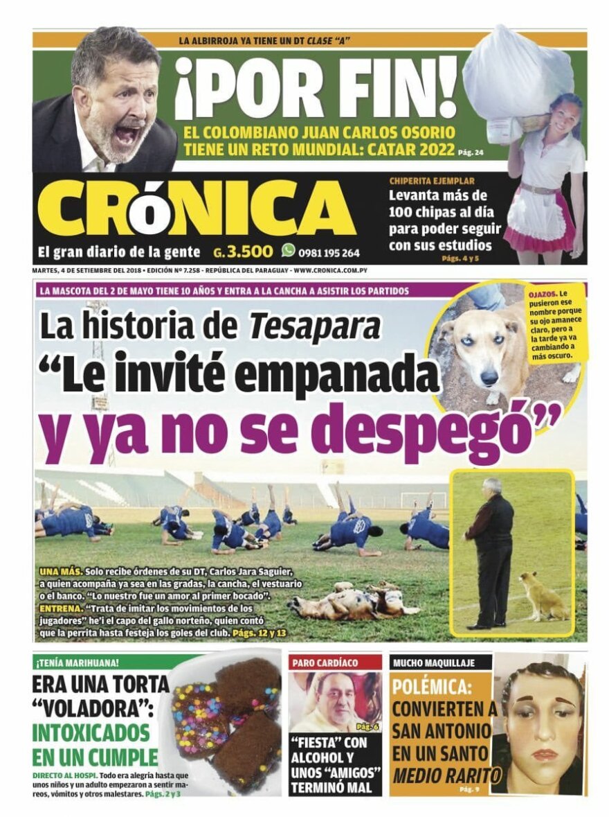 Ο πιο πιστός βοηθός προπονητή στην ιστορία του ποδοσφαίρου!