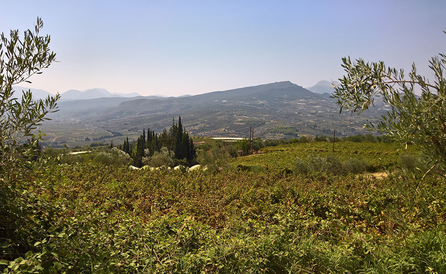 Η Νεμέα και οι Μεγάλες Μέρες της