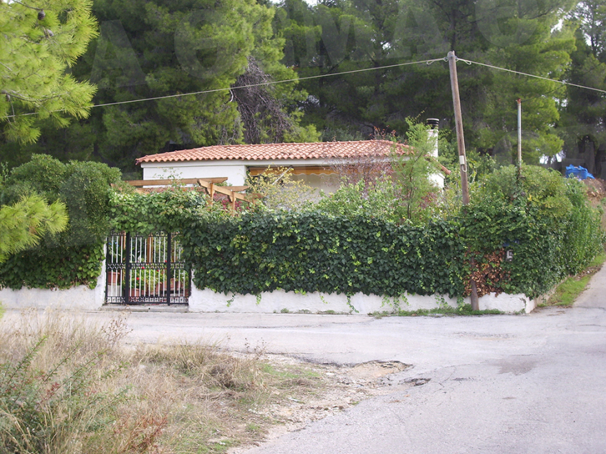 Συγκλονίζει ο αδελφός της ακτινολόγου από το Μάτι: «Βρήκα μάνα, αδελφή και ανιψιές, αγκαλιασμένες νεκρές»