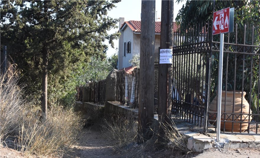 Μάτι: Έβαλαν πινακίδες διαφυγής αφού πρώτα θρηνήσαμε 99 νεκρούς