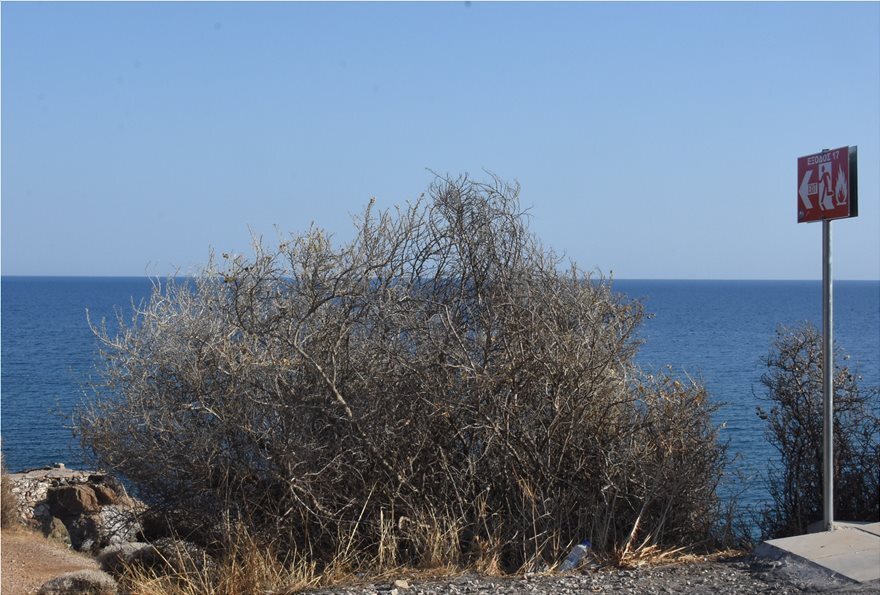 Μάτι: Έβαλαν πινακίδες διαφυγής αφού πρώτα θρηνήσαμε 99 νεκρούς