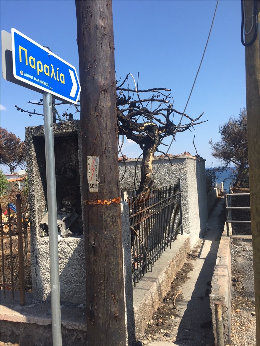 Μάτι: Έβαλαν πινακίδες διαφυγής αφού πρώτα θρηνήσαμε 99 νεκρούς