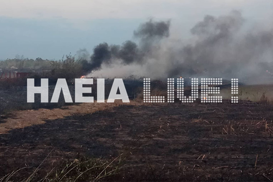 Υπό έλεγχο η φωτιά στα Λεχαινά Ηλείας 