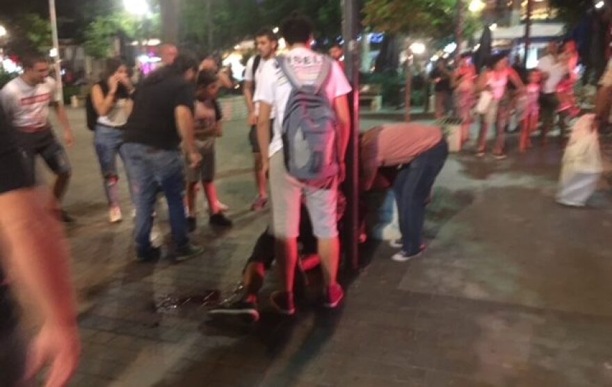 Αγρίνιο: Επεισόδια στην πορεία για τον Παύλο Φύσσα - Τραυματίστηκε 19χρονη