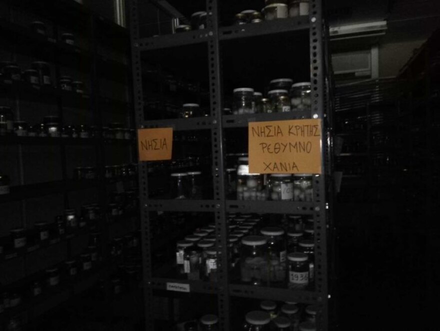 Φωτογραφίες: Η επόμενη μέρα στο Πανεπιστήμιο Κρήτης που μετρά πληγές από τη φωτιά