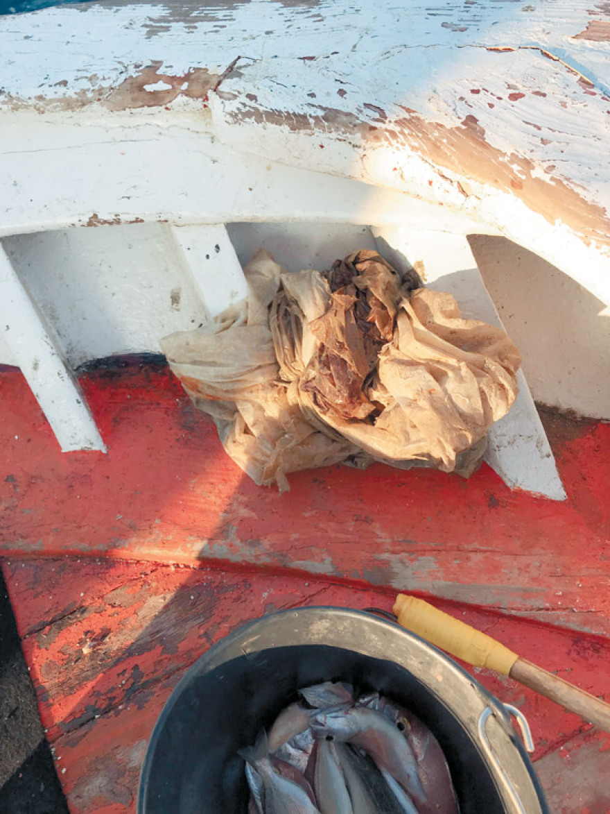 Σκουπίδια και πλαστικά στο παραγάδι του Ριμπολόβλεβ στο Σκορπιό