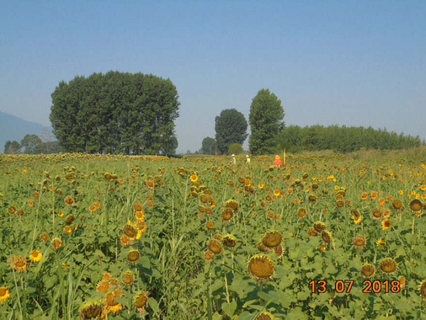 Σε εξέλιξη η αποκατάστασης γης από τον ΤΑΡ στην Ελλάδα