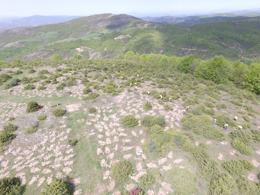 Σε εξέλιξη η αποκατάστασης γης από τον ΤΑΡ στην Ελλάδα