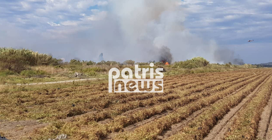 Υπό έλεγχο η φωτιά στη Σπιάτζα του Πύργου: Οι φλόγες έφτασαν στις αυλές των σπιτιών