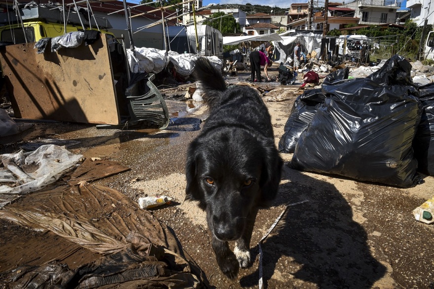 Φωτογραφίες: Εικόνες Αποκάλυψης άφησε πίσω του ο κυκλώνας «Ζορμπάς» σε Μαντούδι και Αργολίδα 