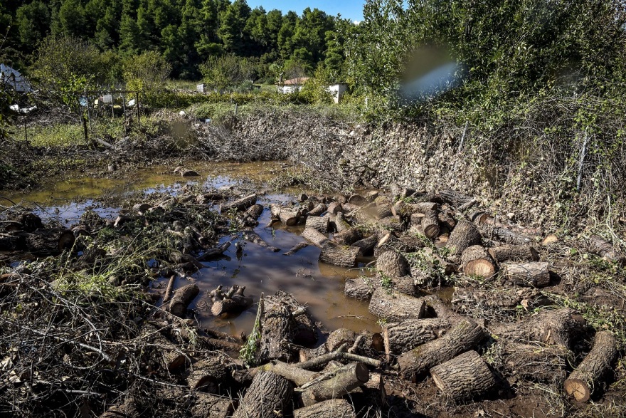 Φωτογραφίες: Εικόνες Αποκάλυψης άφησε πίσω του ο κυκλώνας «Ζορμπάς» σε Μαντούδι και Αργολίδα 