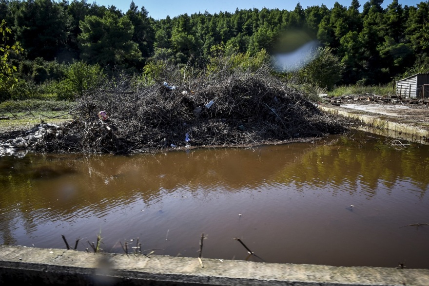 Φωτογραφίες: Εικόνες Αποκάλυψης άφησε πίσω του ο κυκλώνας «Ζορμπάς» σε Μαντούδι και Αργολίδα 
