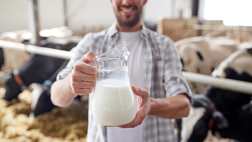 Ίδρυση Ινστιτούτου Ελληνικού Γάλακτος