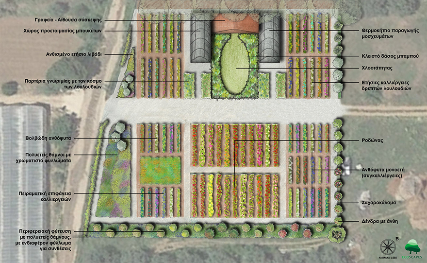 Η δύναμη μιας ανθοδέσμης