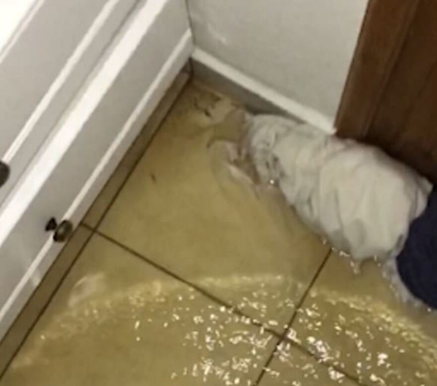 Γκέι Βρετανοί τουρίστες «καταγγέλλουν» τον «Ζορμπά» ότι τους άφησε χωρίς νερό και φαγητό επί δύο μέρες!