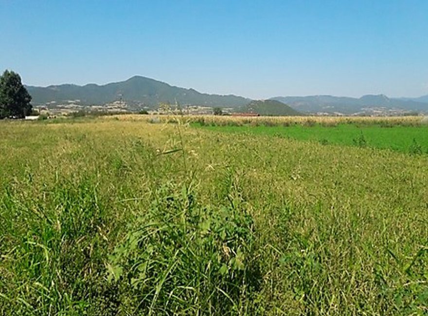 Σε εξέλιξη η αποκατάστασης γης από τον ΤΑΡ στην Ελλάδα