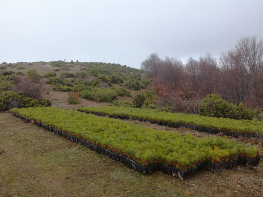 Σε εξέλιξη η αποκατάστασης γης από τον ΤΑΡ στην Ελλάδα