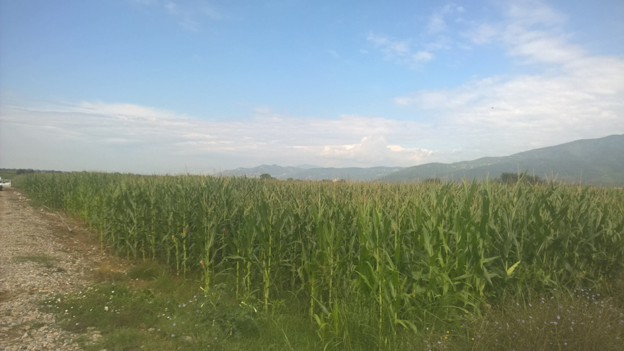 Σε εξέλιξη η αποκατάστασης γης από τον ΤΑΡ στην Ελλάδα