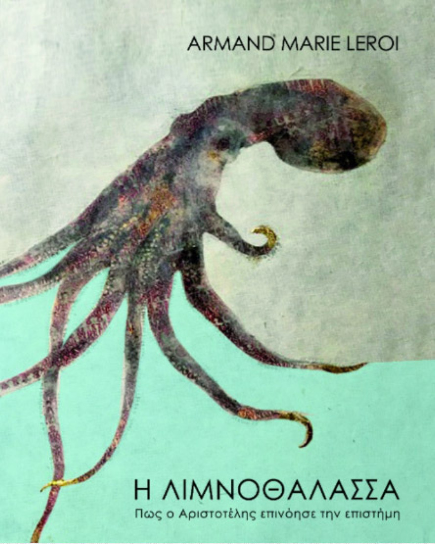 Η νέα σεζόν συνεχίζει δυναμικά με μοναδικές εκδηλώσεις που θα σας συνεπάρουν μόνον από τo Public!