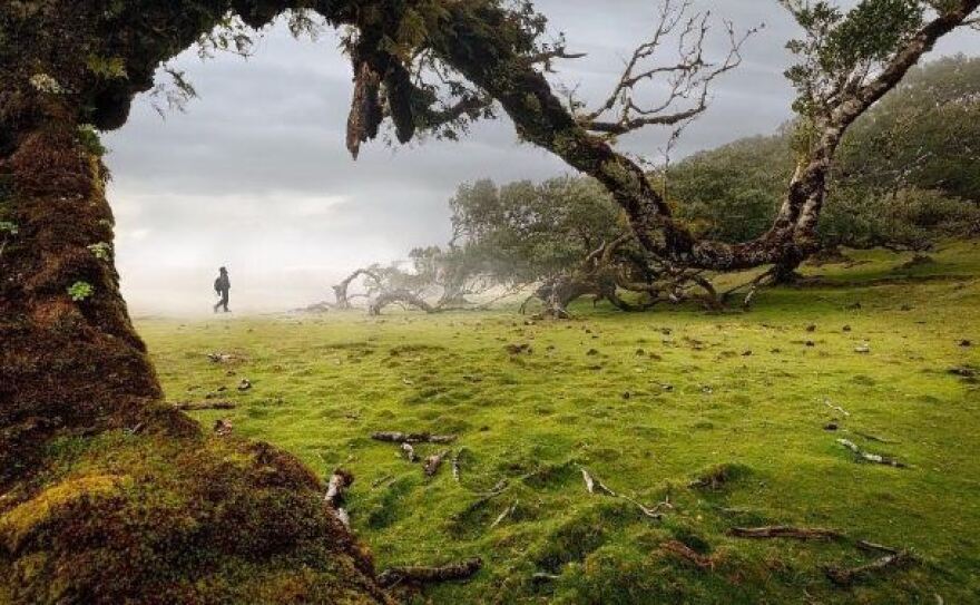 Βραβεία PIPA 2018: Δείτε τις πιο εντυπωσιακές φωτογραφίες του Instagram για τη φετινή χρονιά!