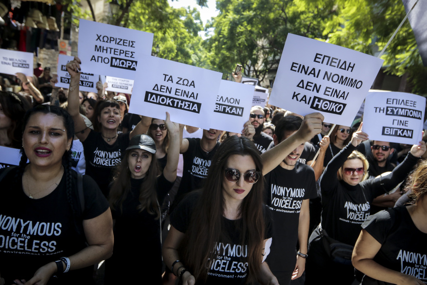 Πορεία διαμαρτυρίας για τα δικαιώματα των ζώων: «Τα ζώα δεν είναι ιδιοκτησία μας»