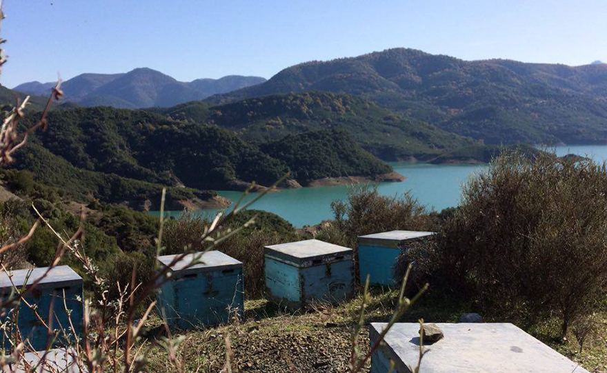 Το μέλι με ταυτότητα Ναϊάδας Νύμφης