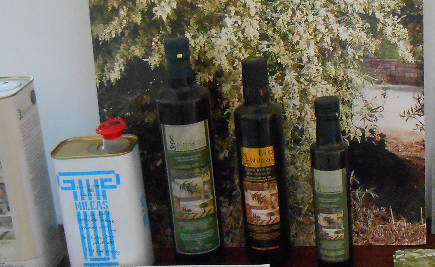 Νηλέας, ο «πατέρας» των ελαιοπαραγωγών