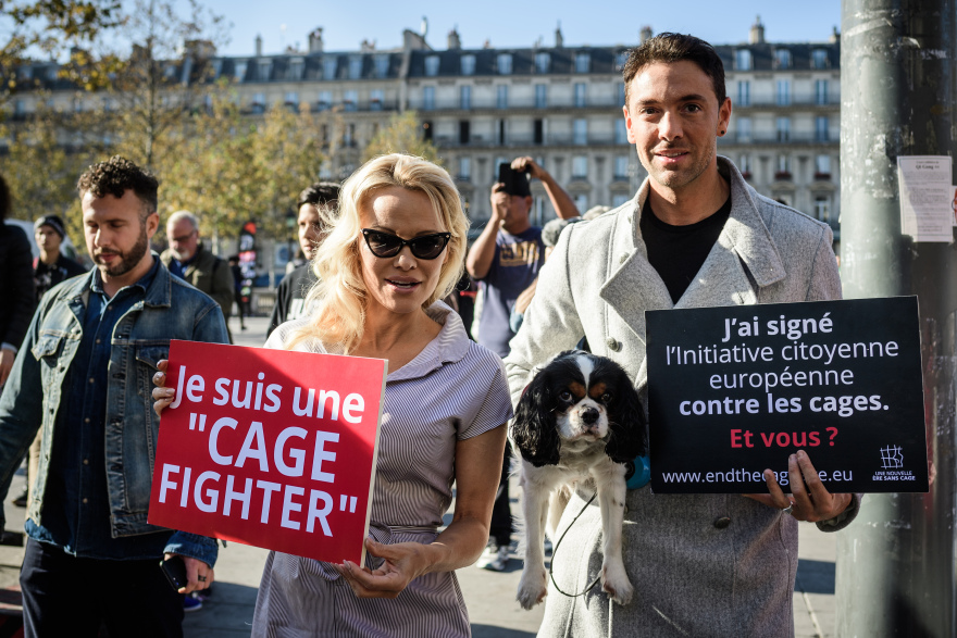 Η Πάμελα Άντερσον σε κλουβί για τα δικαιώματα των ζώων