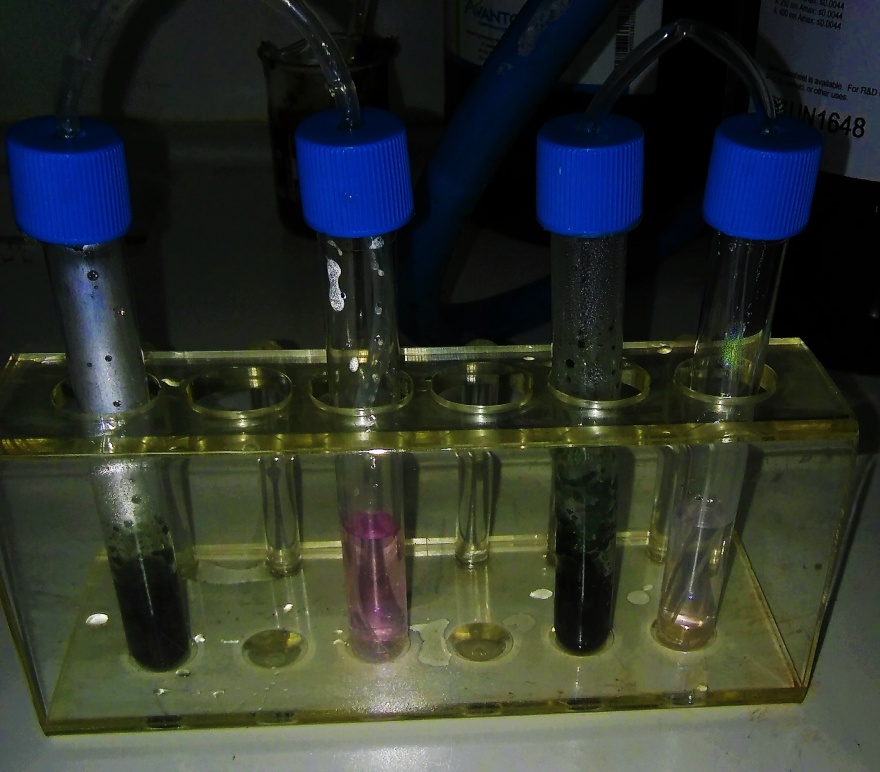 Ο επίμονος χημικός: Ποιος είναι ο 27χρονος Ραφαήλ που εξουδετερώνει τα ποτά «μπόμπες»