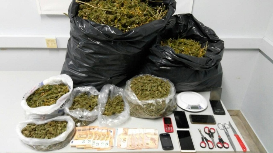 Καβάλα: Εντοπίστηκε φυτεία κάνναβης με 16 κιλά χασίς σε δάσος