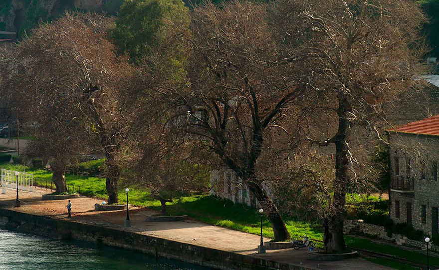 Ένα θεματικό πάρκο για τα τρένα