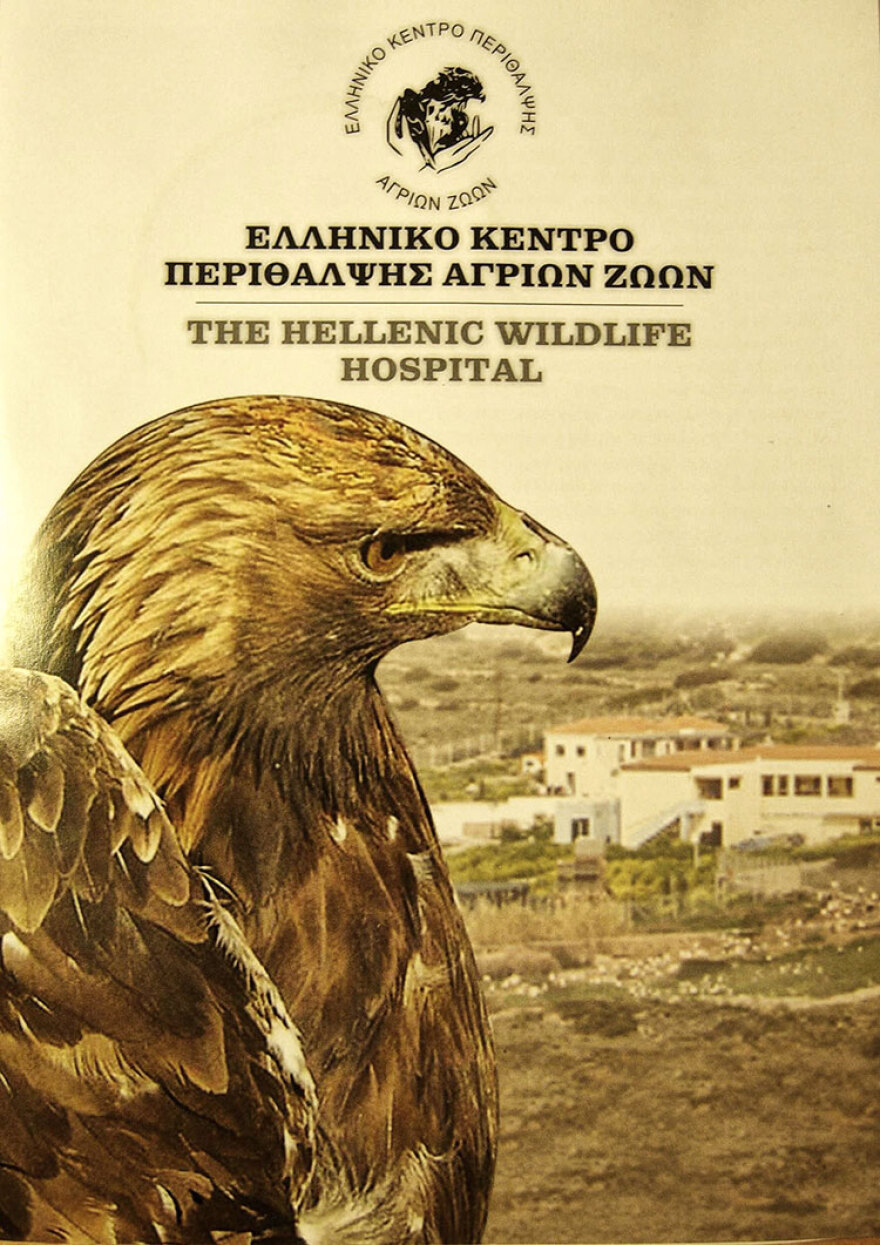 Κλείνει έπειτα από 18 χρόνια το Κέντρο Περίθαλψης Αγρίων Ζώων στην Αίγινα