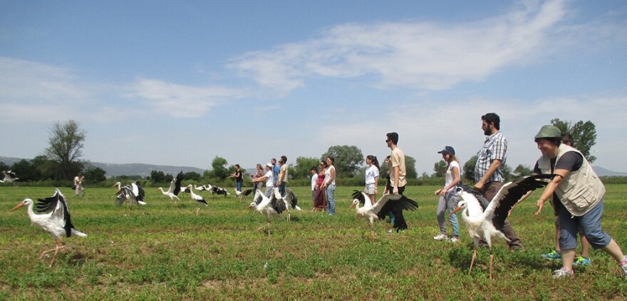 Κλείνει έπειτα από 18 χρόνια το Κέντρο Περίθαλψης Αγρίων Ζώων στην Αίγινα
