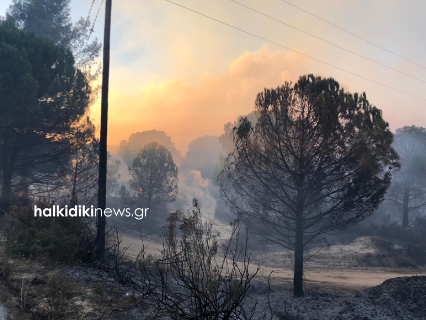  Η φωτιά στη Σιθωνία Χαλκιδικής μαίνεται ανεξέλεγκτη - Εκκενώνεται ο Κάμπος 