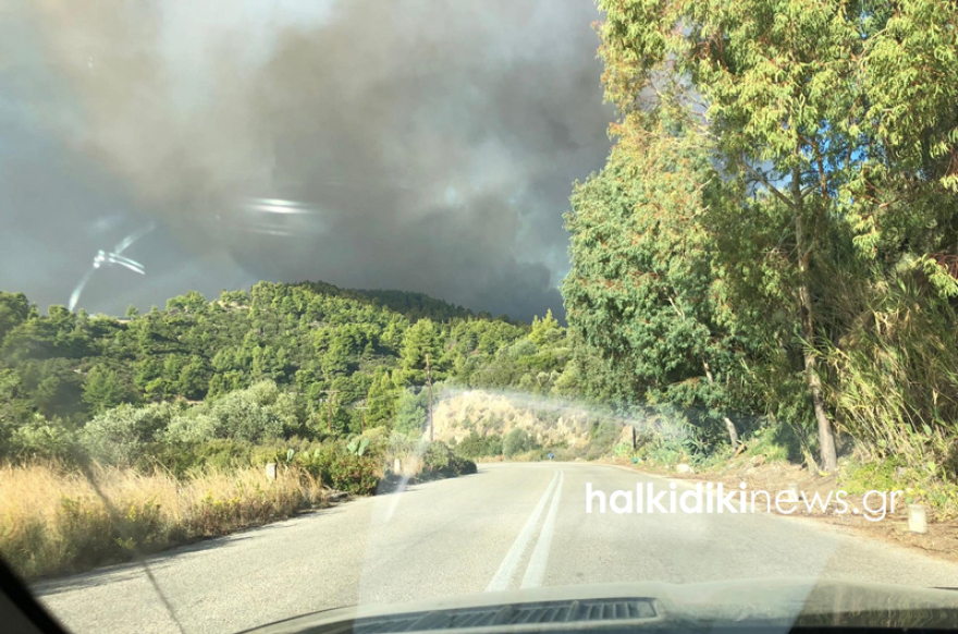  Η φωτιά στη Σιθωνία Χαλκιδικής μαίνεται ανεξέλεγκτη - Εκκενώνεται ο Κάμπος 