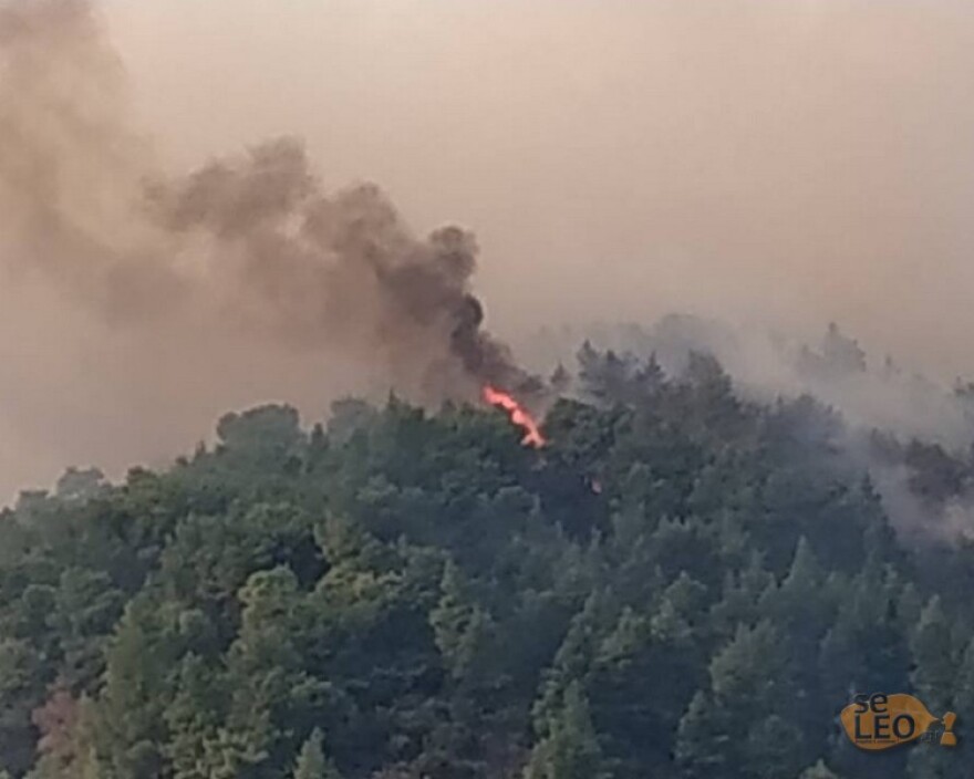 Η φωτιά στη Σιθωνία Χαλκιδικής έχει απλωθεί στα τρία χιλιόμετρα - Εκκενώθηκε ο Κάμπος