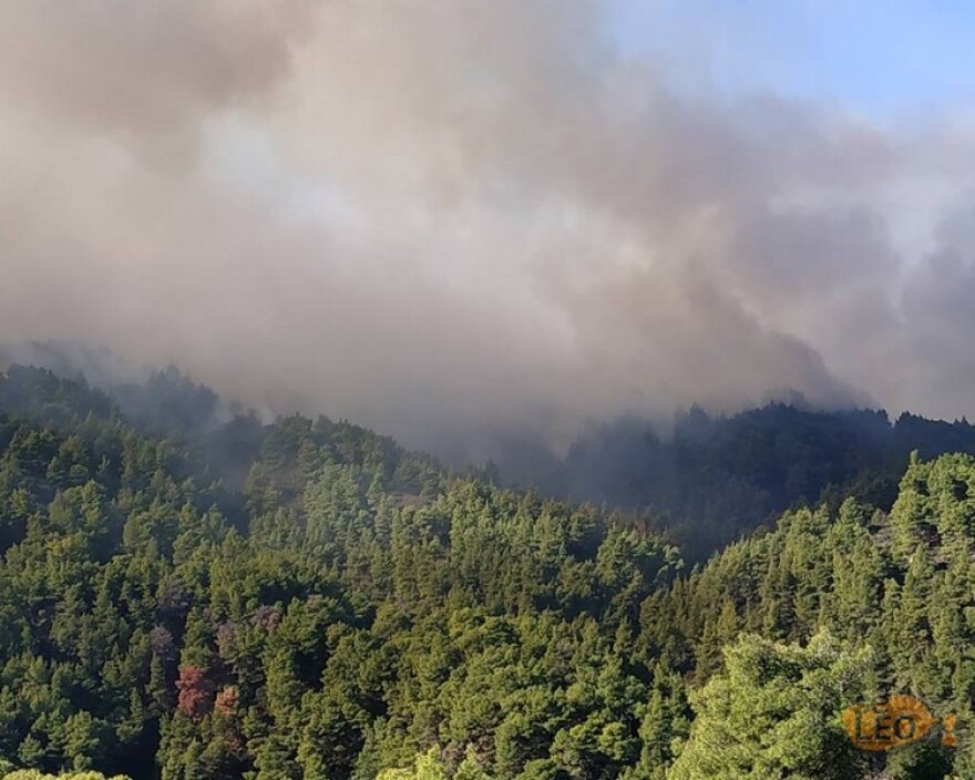 Η φωτιά στη Σιθωνία Χαλκιδικής έχει απλωθεί στα τρία χιλιόμετρα - Εκκενώθηκε ο Κάμπος