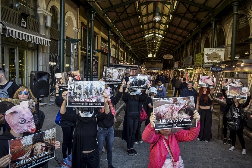 Φωτογραφίες: Φιλόζωοι ακτιβιστές έκαναν «ντου» στην Βαρβάκειο