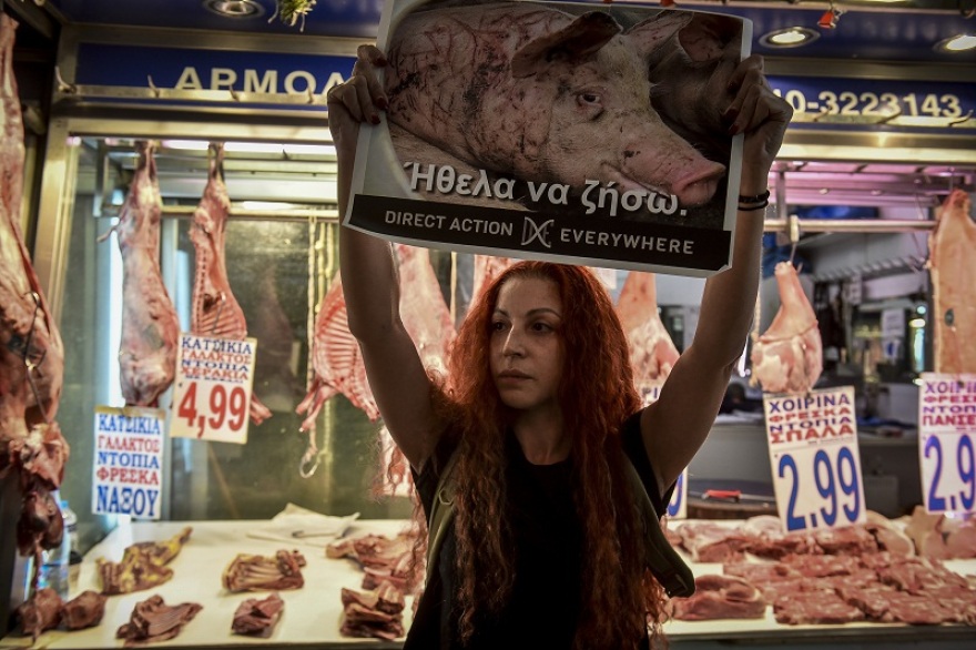 Φωτογραφίες: Φιλόζωοι ακτιβιστές έκαναν «ντου» στην Βαρβάκειο