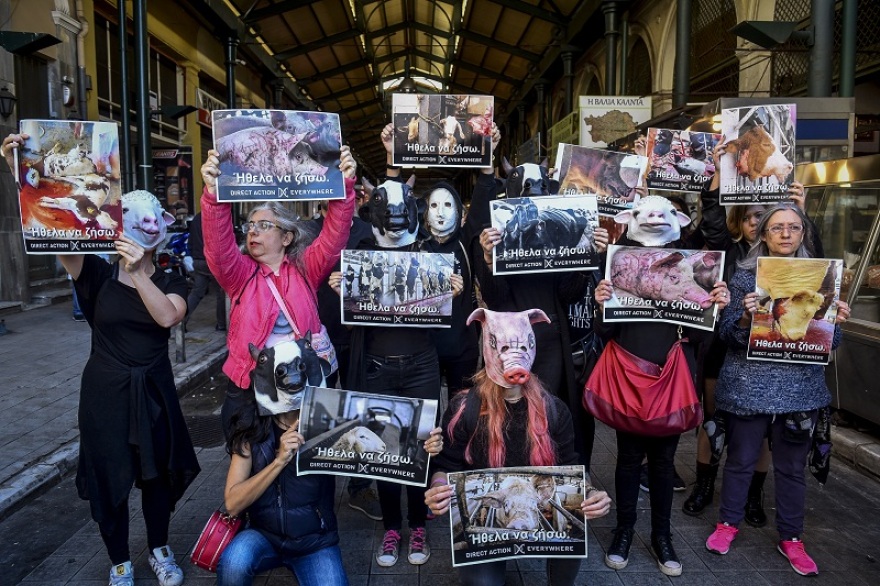 Φωτογραφίες: Φιλόζωοι ακτιβιστές έκαναν «ντου» στην Βαρβάκειο