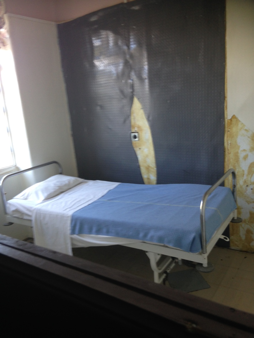 Ποντίκια στο νοσοκομείο Μυτιλήνης και περιστέρια στον Ερυθρό Σταυρό καταγγέλλει η ΠΟΕΔΗΝ