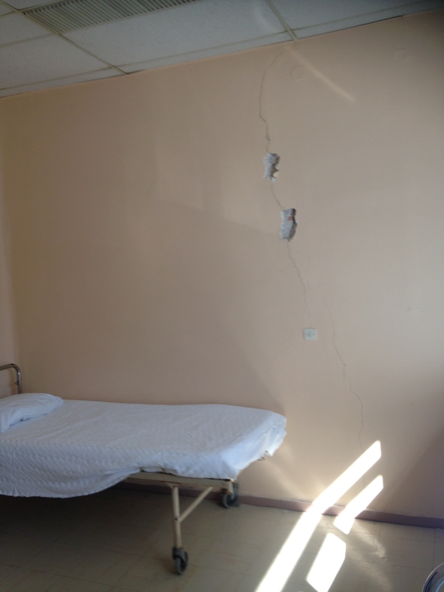 Ποντίκια στο νοσοκομείο Μυτιλήνης και περιστέρια στον Ερυθρό Σταυρό καταγγέλλει η ΠΟΕΔΗΝ