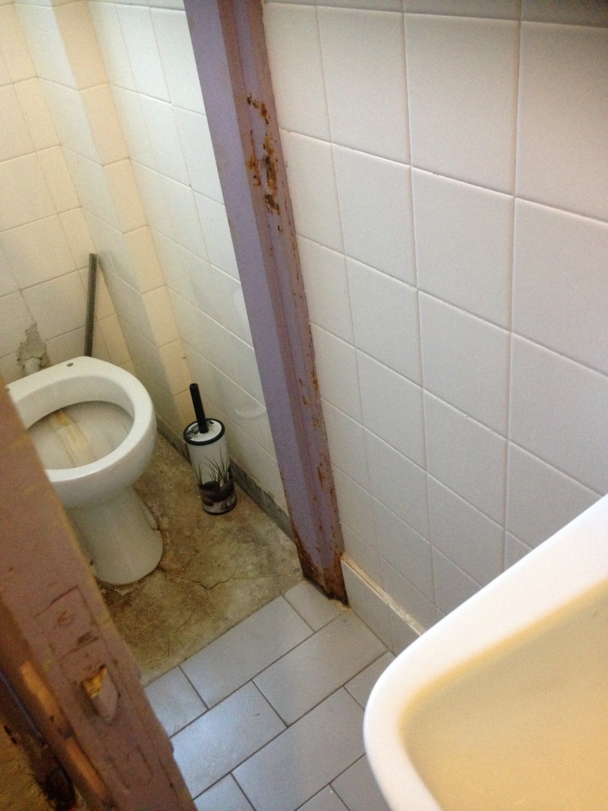 Ποντίκια στο νοσοκομείο Μυτιλήνης και περιστέρια στον Ερυθρό Σταυρό καταγγέλλει η ΠΟΕΔΗΝ