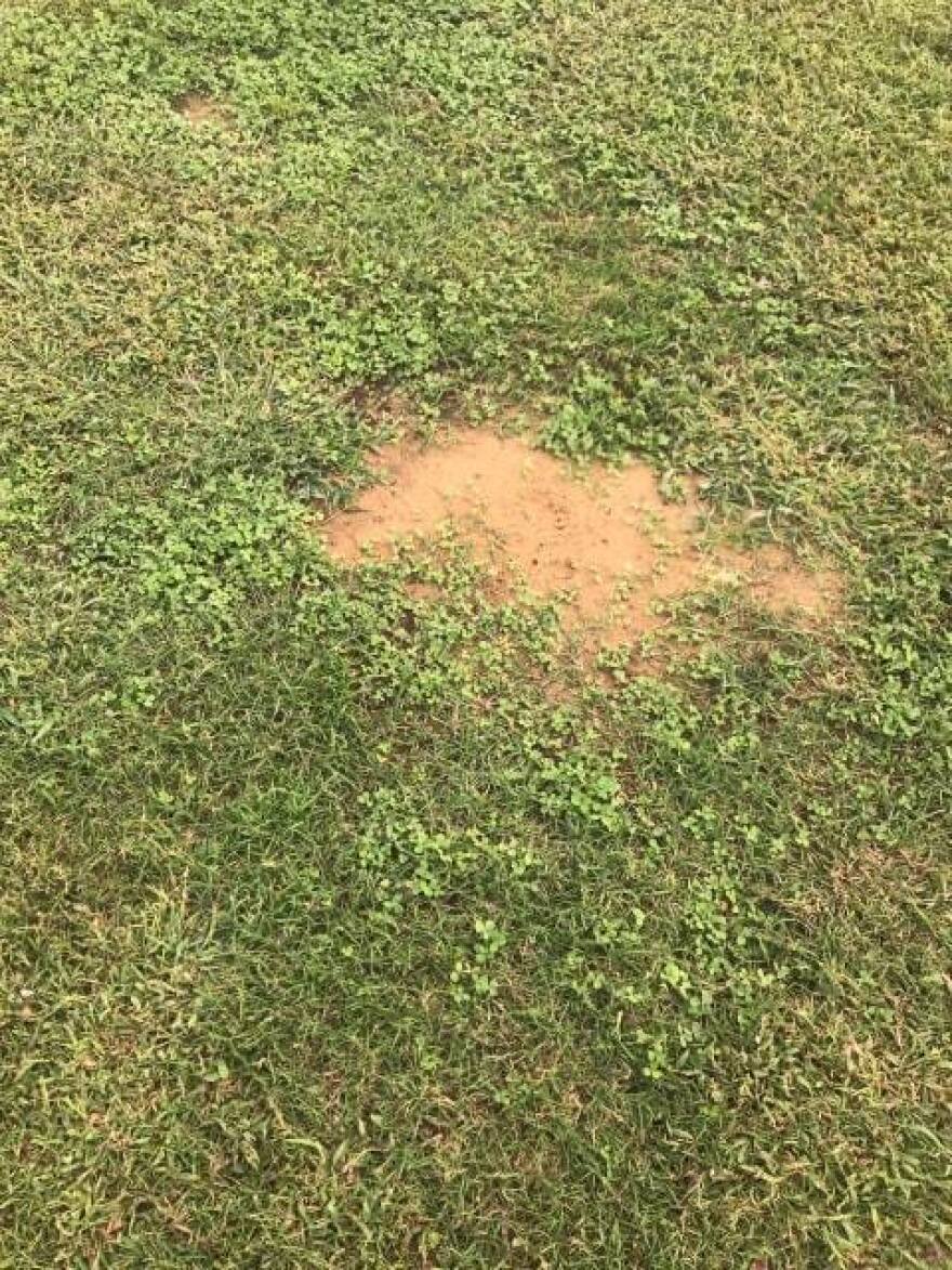 Ολυμπιακός: «Γήπεδο ντροπή, αίσχος της ομοσπονδίας»