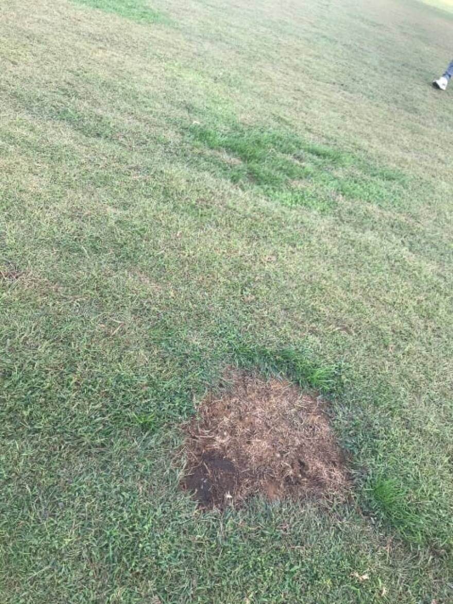 Ολυμπιακός: «Γήπεδο ντροπή, αίσχος της ομοσπονδίας»