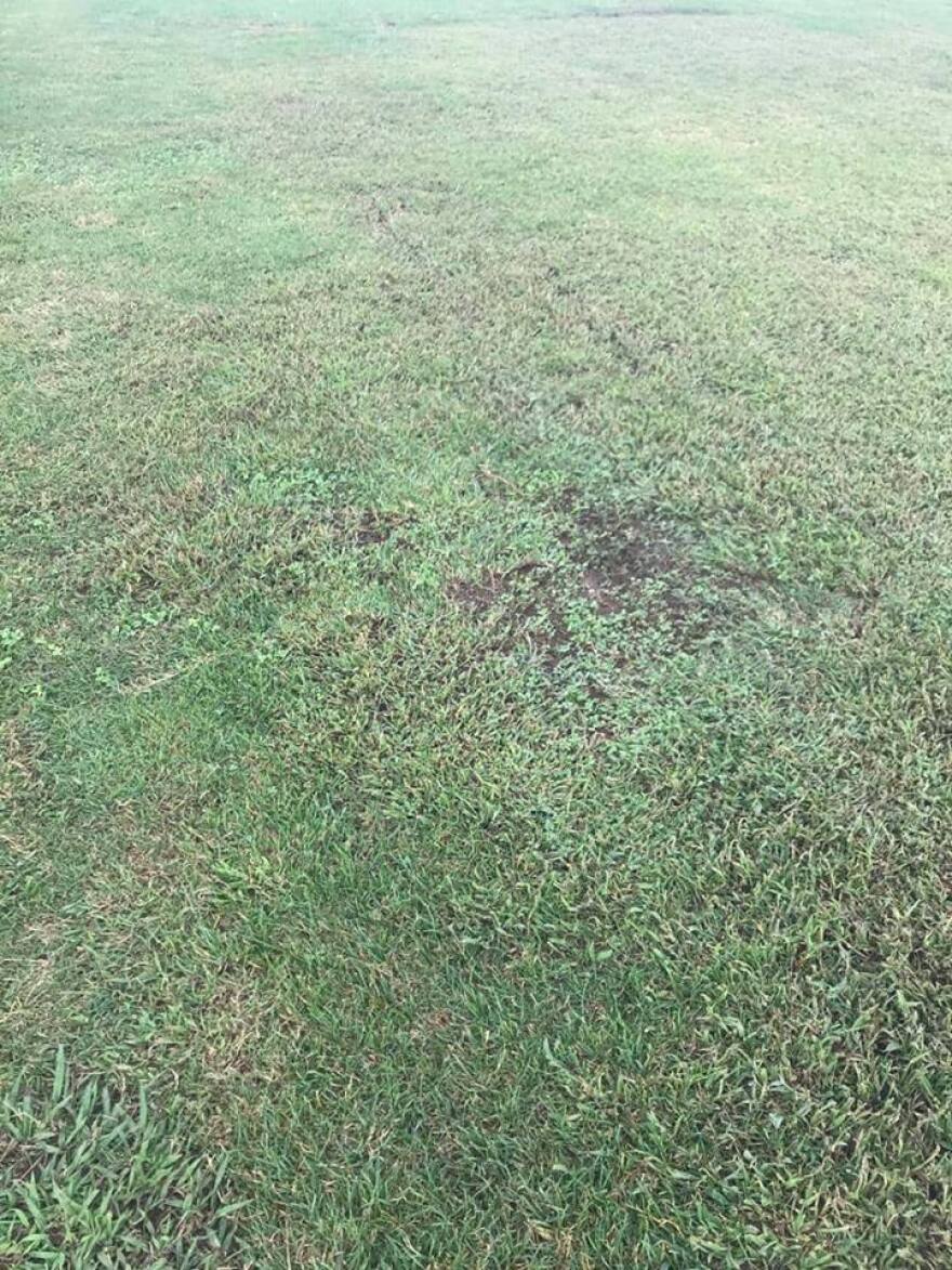 Ολυμπιακός: «Γήπεδο ντροπή, αίσχος της ομοσπονδίας»