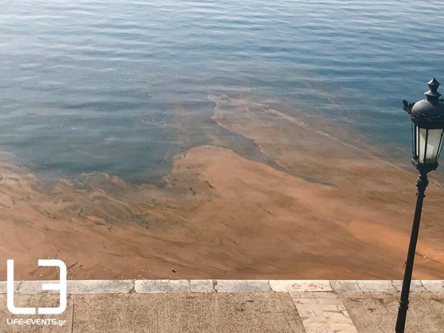 Θεσσαλονίκη: Ο Θερμαϊκός έγινε και πάλι... καφέ! 