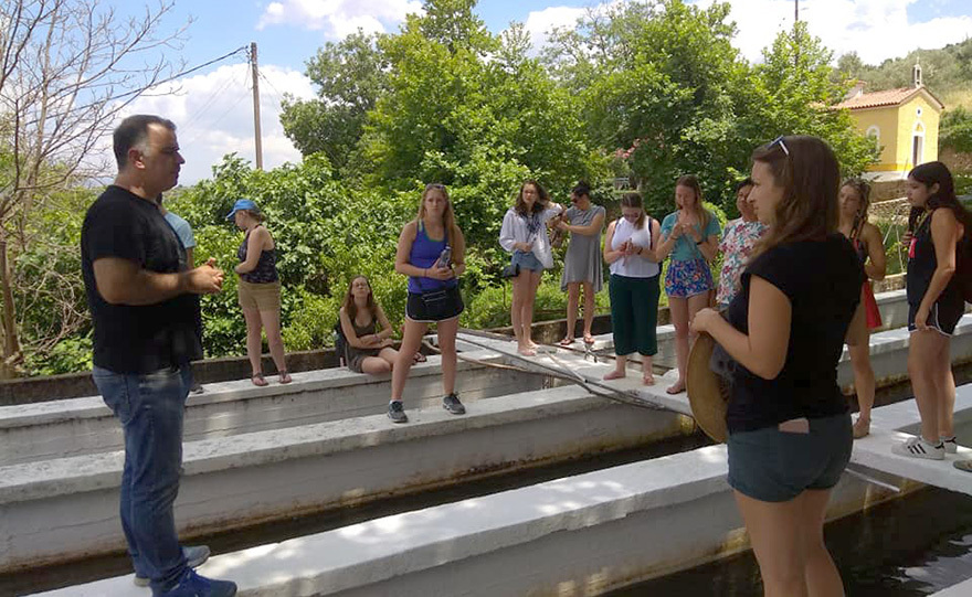 Συκωτάκια …σολομού
