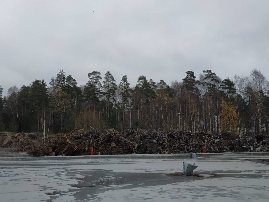 Πώς το παράδειγμα της «Ελληνίδας γιαγιάς» μπορεί να σώσει τον πλανήτη